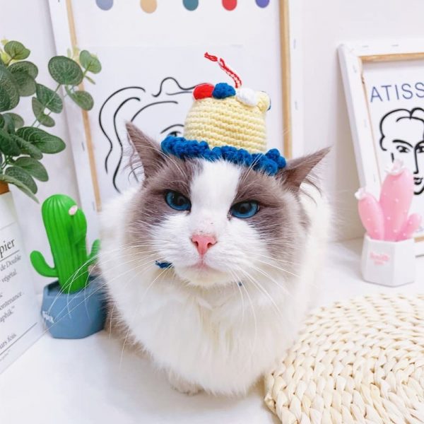 Cat Birthday Hats | Cat with A Birthday Hat, Birthday Cake Hat, Cat Apparel