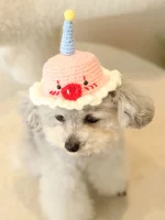 Cat Birthday Hats - Crochet Birthday Hat for Kittens - Pig