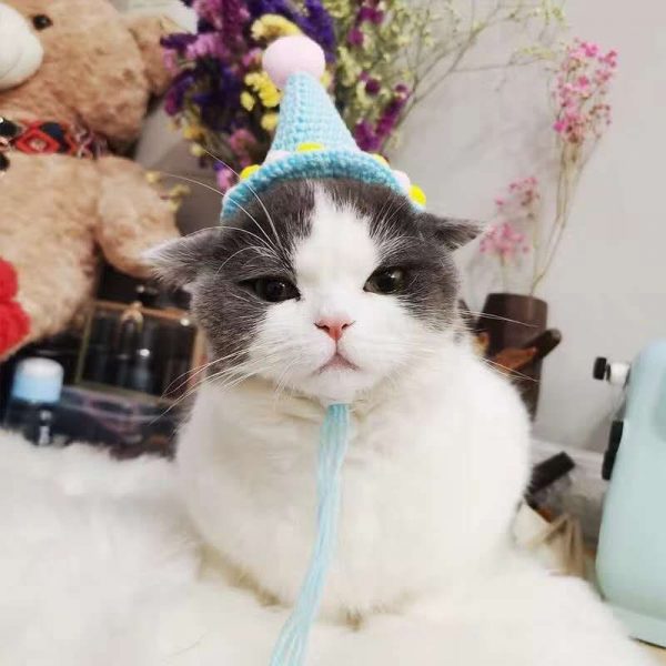 Cat Birthday Hats- Knitted Ice cream hat