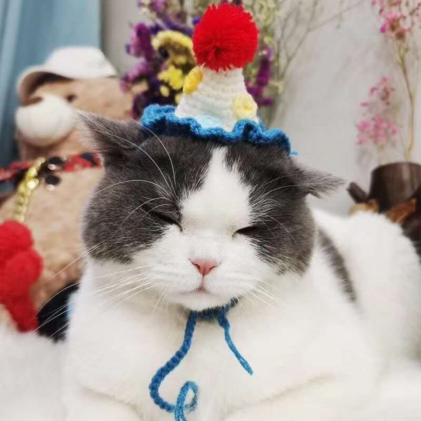 Cat Birthday Hats- Knitted Ice cream hat