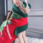 Christmas Costume for Cats | Christmas Ttree Cat Costume for Sphynx