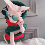 猫用クリスマスコスチューム｜スフィンクス用クリスマストゥリーキャットコスチューム