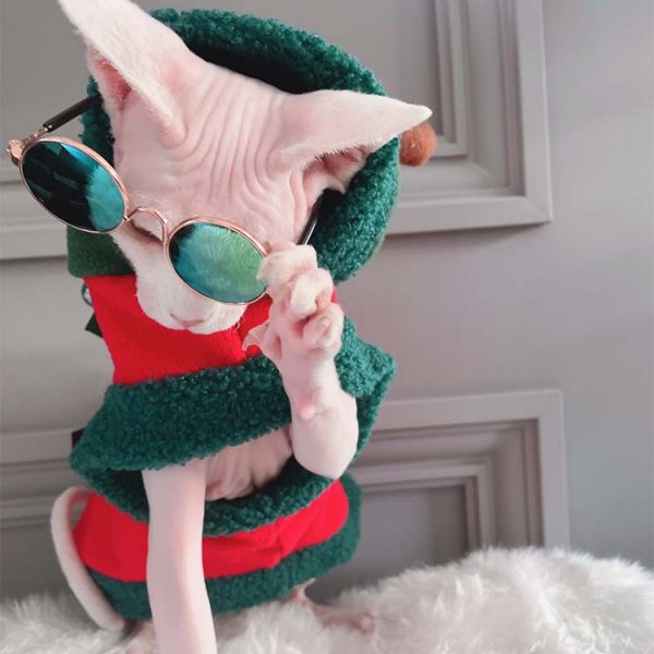 Ugly Cat Christmas Sweaters-Sphynx wears Xmas sweater