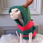 Traje de Natal para Gatos | Traje de Natal para o Gato Sphynx