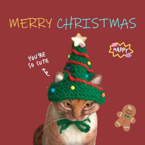 猫のためのクリスマス帽子