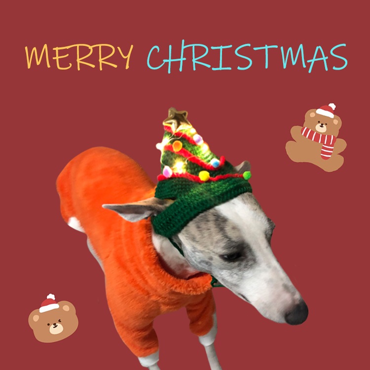 Cat Christmas Hat | Hand-knitted Woolen Hat, Glowing woolen hat