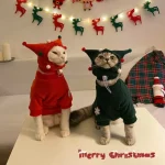 Cat Christmas Sweatshirt for Cat with Hat
