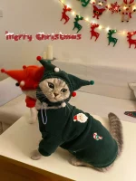 Cat Christmas Sweatshirt for Cat with Hat