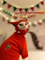 Cat Christmas Sweatshirt for Cat with Hat