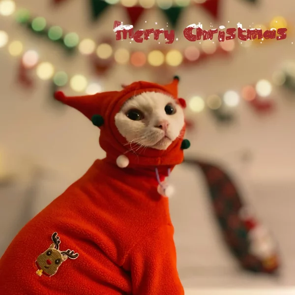 Cat Christmas Sweatshirt for Cat with Hat