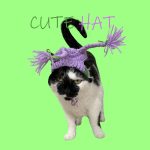 Cat Wearing Hat | Cats and Hats, Hand-knitted Hat, Purple Double Braids