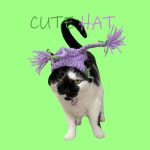 Cat Wearing Hat | Cats and Hats, Hand-knitted Hat, Purple Double Braids