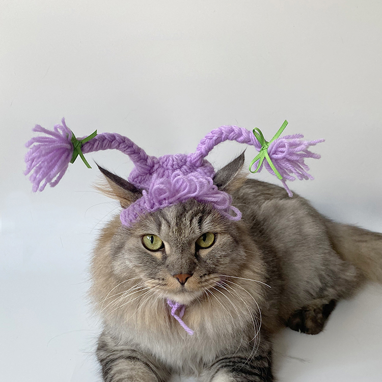 Кошка в шапке | Кошки и шапки, вязаная шапка ручной работы, фиолетовые двойные косы