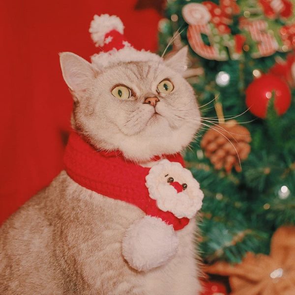 Santa Hats for Cats-Red one set