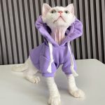 Sudaderas con capucha para gatos | Sudadera con capucha y gorro de flores para gato Sphynx