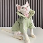 Sudaderas con capucha para gatos | Sudadera con capucha y gorro de flores para gato Sphynx