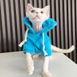 Hoodies for Cats | Cat Hoodie with Flower Hat for Sphynx Cat