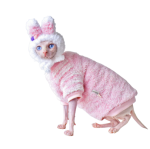 Cat with Winter Coat | Hairless Cat Winter Coat, Winter Clothes for Pets