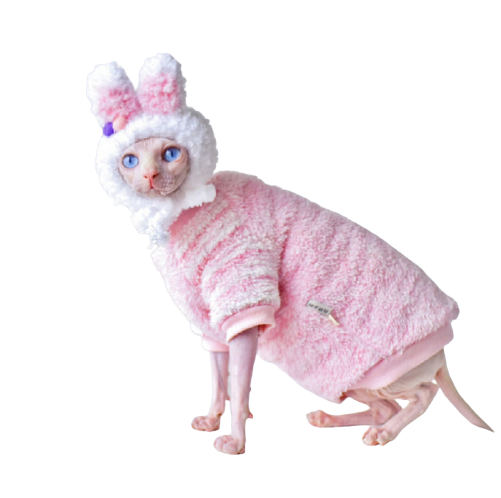 Cat with Winter Coat | Hairless Cat Winter Coat, Winter Clothes for Pets