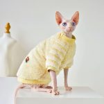 Sphynx Cat Clothes for Winter | Winter Clothes for Sphynx Cats