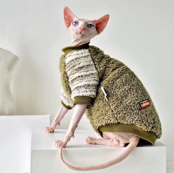 Sphynx Cat Clothes for Winter Winter Clothes for Sphynx Cats