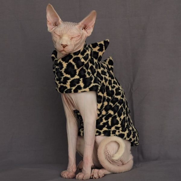 Cat With Dinosaur Costumes | Cat Apparel, Cat Winter Coat, Polar Fleece
