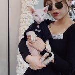 Shirt for Cats-A woman hold a Sphynx