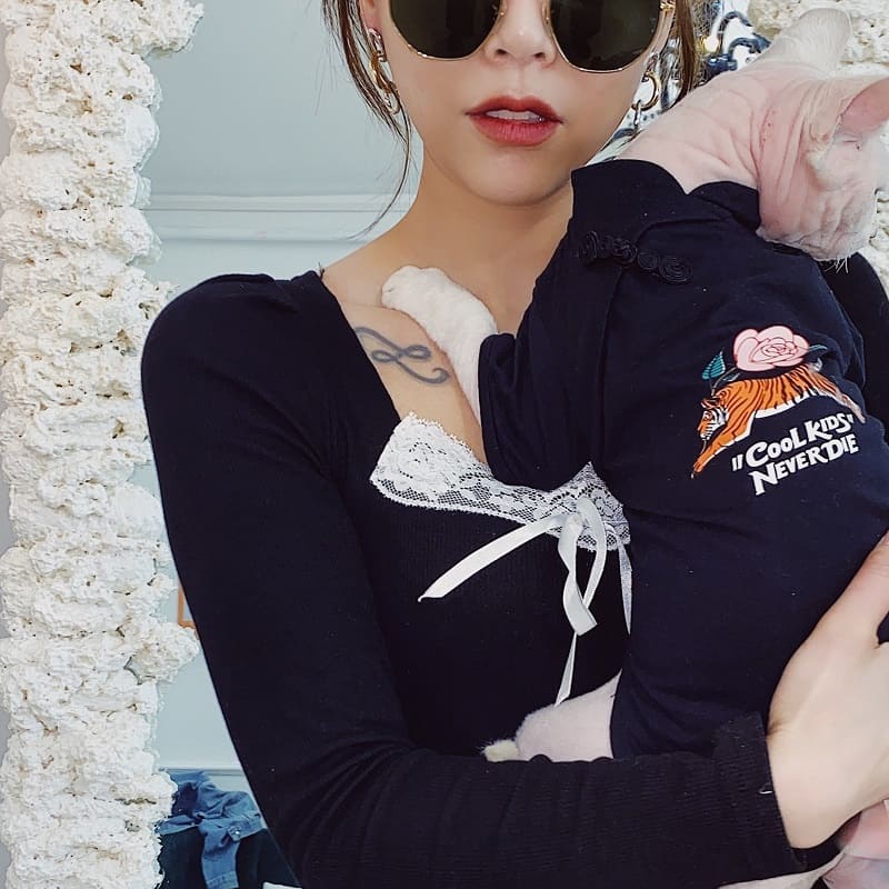 Cool Sphynx T-Shirt&Hairless Cat | Cat Apparel, Chinese Style cheongsam
