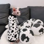 Vaca Camisetas para Gato Sphynx Algodón blanco y negro patrón de vaca