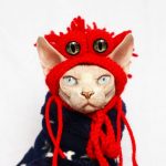 Cat Hat With Eye | Hand-knitted Woolen Hat, With High-quality Wool