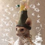 Cat Funny Hat | Hand-knitted Woolen Hat, Knitted With High-quality Wool