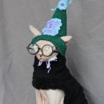 Cat Funny Hat | Hand-knitted Woolen Hat, Knitted With High-quality Wool