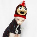 Cat Funny Hat | Hand-knitted Woolen Hat, Knitted With High-quality Wool