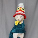 Cat Funny Hat | Hand-knitted Woolen Hat, Knitted With High-quality Wool