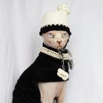 Cat Funny Hat | Hand-knitted Woolen Hat, Knitted With High-quality Wool