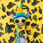 Cat Funny Hat | Hand-knitted Woolen Hat, Knitted With High-quality Wool