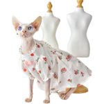 Dress for Cat-Sphynxがレースのドレスを着用しています。