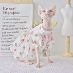 Dress for Cat-Sphynxがレースのドレスを着用しています。