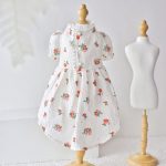 Dress for Cat-レースドレス