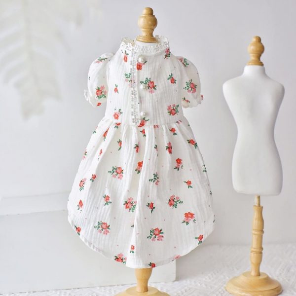 Dress for Cat-Lace dress