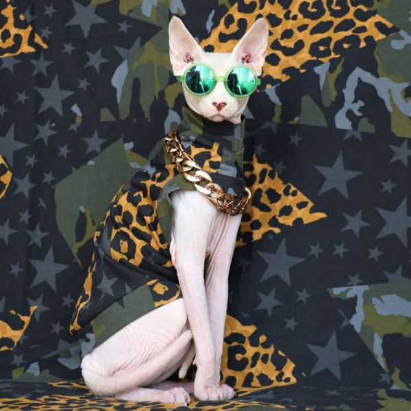 Vestiti per gatti leopardati | Un "must-have" Ins Vestiti per gatti, abbigliamento per gatti