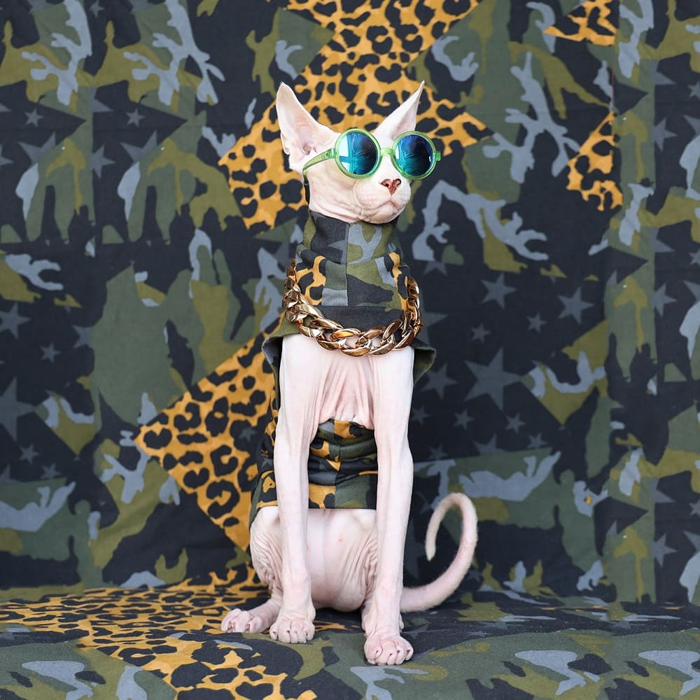 Leopard Cat Clothes | A "Must-have" Ins Clothes For Cats, Cat Apparel
