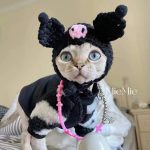 Pet Coats for Cats-Devon rex wears the coat