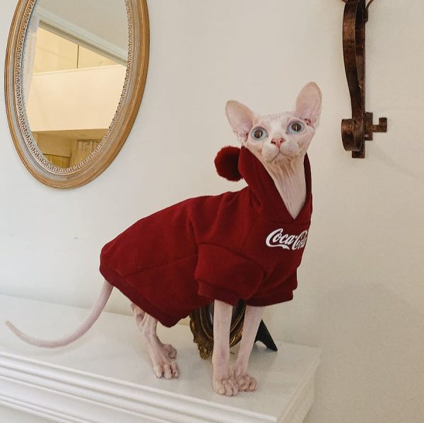 Kitten Hoodie | Sphynx Hoodie, Bambino Cat Sweatshirt, CocaCola
