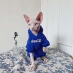 Kitten Hoodie | Sphynx Hoodie, Bambino Cat Sweatshirt, CocaCola