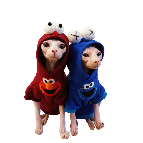 Sphynx Katze Hoodie | Bambino Katze Sweatshirt, Sphynx Katze im Hoodie