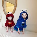 Sphynx Cat Hoodie | Bambino Cat Sweatshirt, Sphynx Cat in Hoodie