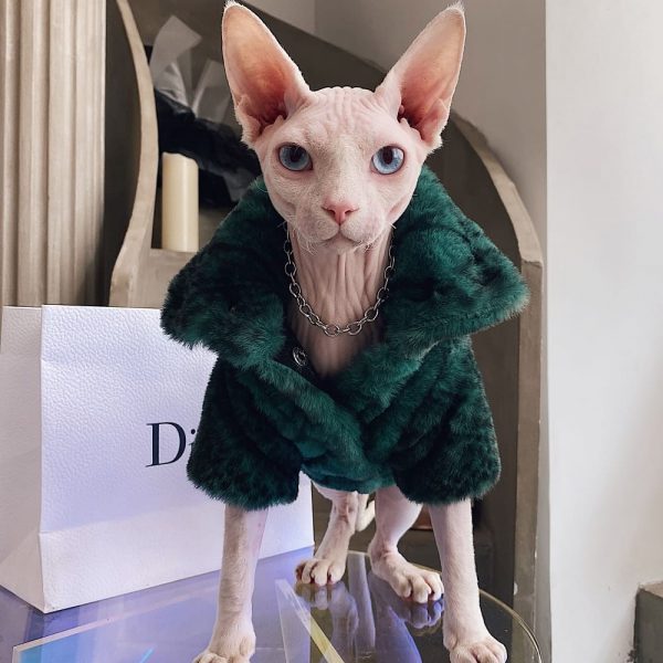 Cat Christmas Sweater for Cat | Coat for Cat-Black Green Fur Coat