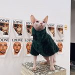 Cat Christmas Sweater for Cat | Coat for Cat-Black Green Fur Coat