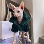 Cat Christmas Sweater for Cat | Coat for Cat-Black Green Fur Coat